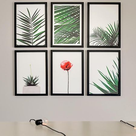Studio Baltica Brzezno Gdansk Luaran gambar